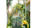 Cổng hoa cưới 15